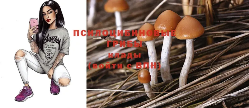 ссылка на мегу ТОР  Ершов  Псилоцибиновые грибы Cubensis  даркнет сайт 