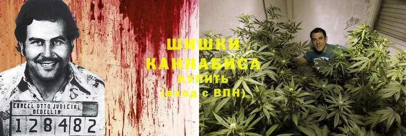 Шишки марихуана SATIVA & INDICA  Ершов 